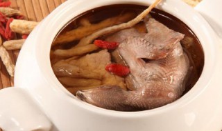乳鸽汤做法步骤 乳鸽汤的烹饪方法