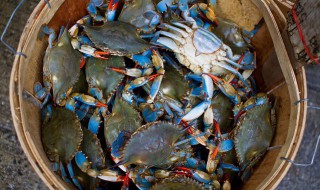 酒香螃蟹步骤 酒香螃蟹的烹饪方法