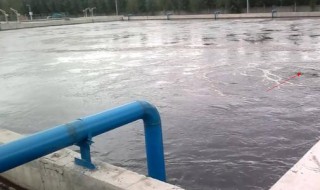 污水靠哪三种方法净化 污水处理的常用方式有哪些