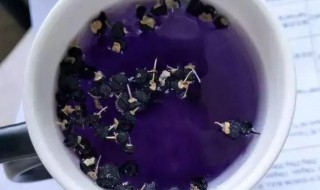 枸杞加蓝莓泡水喝做法功效 蓝莓枸杞饮料的好处