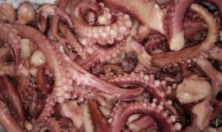 小章鱼怎么处理比较脆 章鱼怎么处理能鲜脆爽口