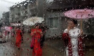 雨中美景怎么写 描写雨中美景的句子