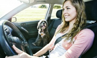 驾驶证到期换证流程去哪个部门换 驾驶证到期换证需要带什么