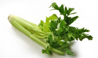 蔬菜盆栽步骤 蔬菜盆栽方法