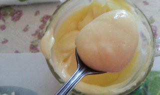 手打沙拉酱步骤 手打沙拉酱的做法