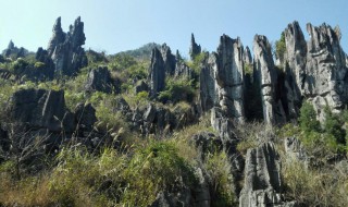 石林和峰林的区别 石林和峰林介绍