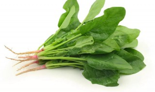 菠菜的原味做法 菠菜的原味怎样做好吃