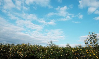 形容天空的句子 有哪些写天空的句子