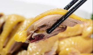 如何做正宗的白切鸡 白切鸡的烹饪方法