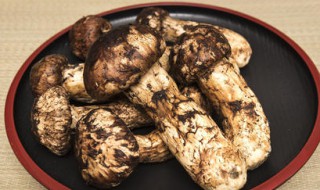 怎么炒松茸 炒松茸的烹饪方法