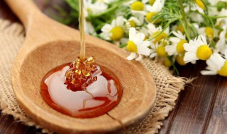 蜂蜜的种类 蜂蜜有哪些种类