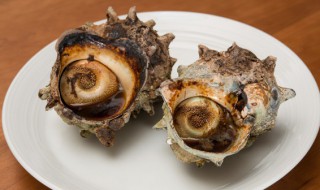 冷冻的海螺肉如何做 怎么做冻海螺肉