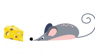 怎样消灭老鼠最快简单 如何快速有效消灭老鼠