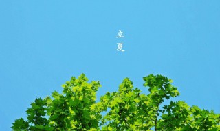 立夏了是不是就进入了夏天 立夏节气介绍