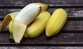 胖胖的香蕉是什么品种 香蕉的营养价值介绍