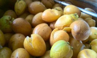 黄皮干怎么晒好吃 黄皮干晒好吃的方法