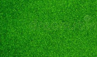 绿色寓意 有关绿色的寓意介绍