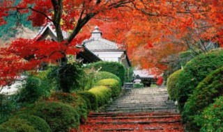 香山在哪个城市 香山的特点是什么