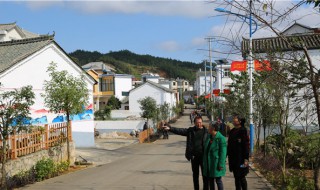 板桥镇属于哪里 板桥镇简介