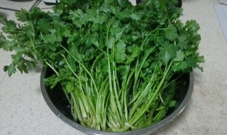 香菜怎么储存 香菜吃不完了可以怎么保存