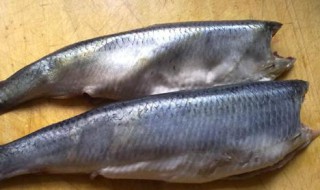 青魚怎么保鲜 青魚保鲜的方法