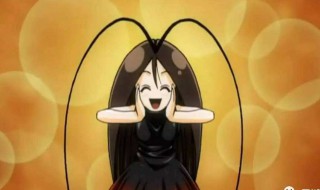 家里放什么可以预防蟑螂 可以预防蟑螂的物品简述