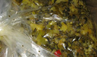 烂腌菜的腌制方法 如何腌制烂腌菜