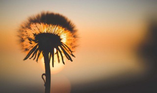 旅游文案怎么写吸引人 如何写吸引人的旅游文案