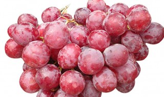 提子要怎么保鲜 保鲜提子的方法介绍