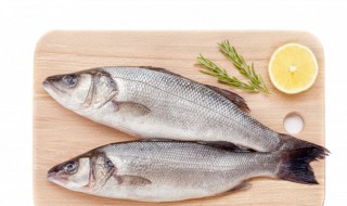 减脂鲈鱼的做法 减脂鲈鱼怎么做