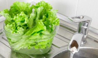 生菜拌菜的做法 生菜拌菜怎么做