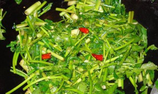 腌芹菜末的做法 怎样腌芹菜末