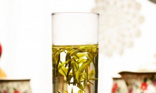 雪芽的功效与作用 雪芽有什么好处