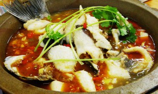 石锅鱼的营养价值 石锅鱼简介