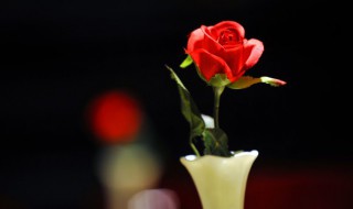 2021年2月14日是什么节日 2021年2月14日节日的简介