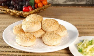 吊炉烧饼简介 吊炉烧饼的介绍