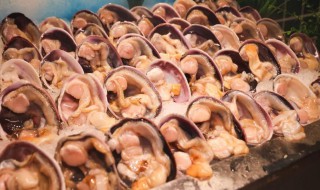 紫石房蛤的做法 紫石房蛤怎么吃