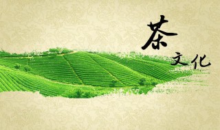 茶文化的起源 茶文化介绍