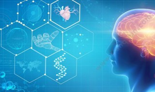 大脑的八个功能分区 大脑的八个功能分区介绍