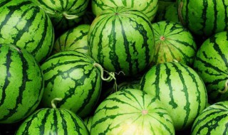 挑西瓜有什么技巧 挑西瓜的技巧有哪些