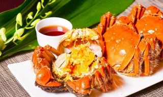 醉螃蟹步骤 醉螃蟹的做法及步骤
