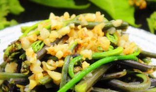 蒜蓉炒蕨菜步骤 蒜蓉炒蕨菜的做法与步骤