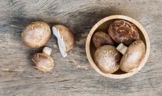 辣椒炒香菇步骤 怎么做辣椒炒香菇