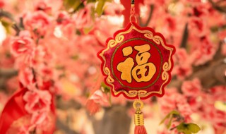 除夕节日作文 除夕节日作文范文