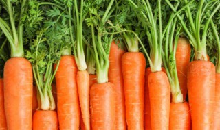 立春吃什么传统食物 立春吃的传统食物介绍