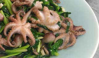 八爪鱼的营养价值 八爪鱼简介