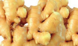 姜怎么储存 保存姜的方法