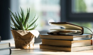 微信名字2021最好听简单又特别 好听简单又特别的微信名字推荐