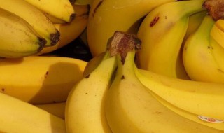 香蕉怎样吃治便秘 如何吃香蕉能治便秘