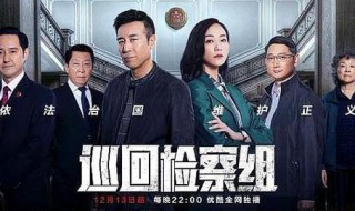 巡回检察组冯森的扮演者是谁（巡回检察组冯森的演员）
